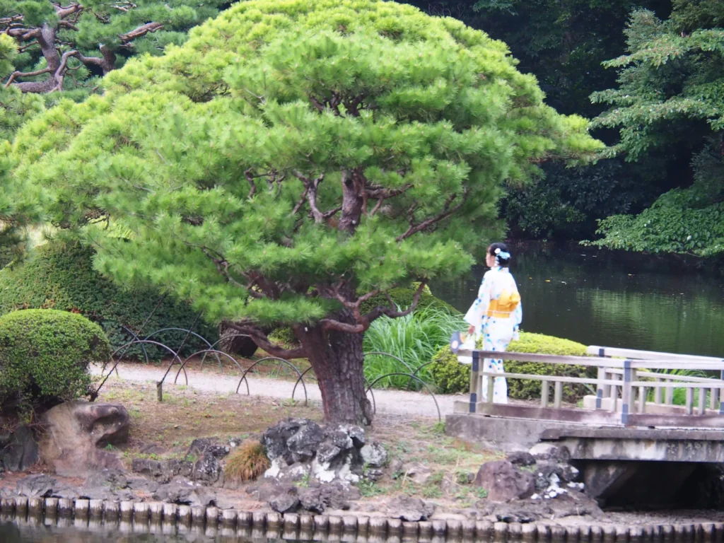 Relaks w parku w Japonii z Japonką, Fuji-wędrówka szlakiem shogunów