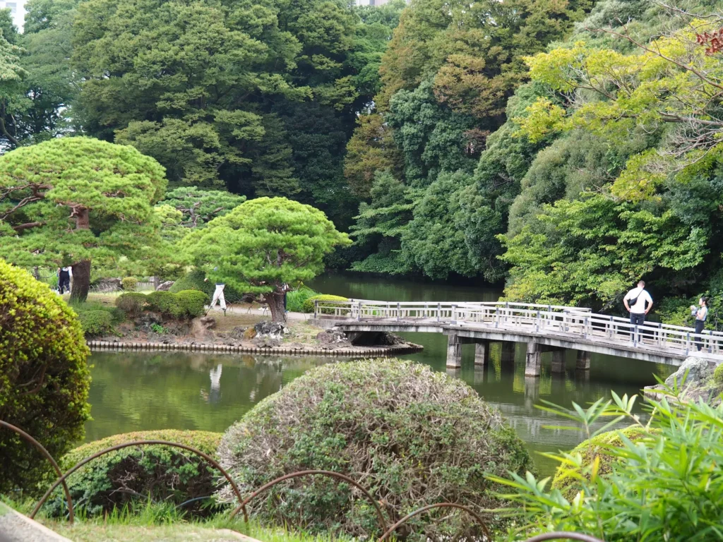 Relaks w parku w Japonii z Japonką, Fuji-wędrówka szlakiem shogunów
