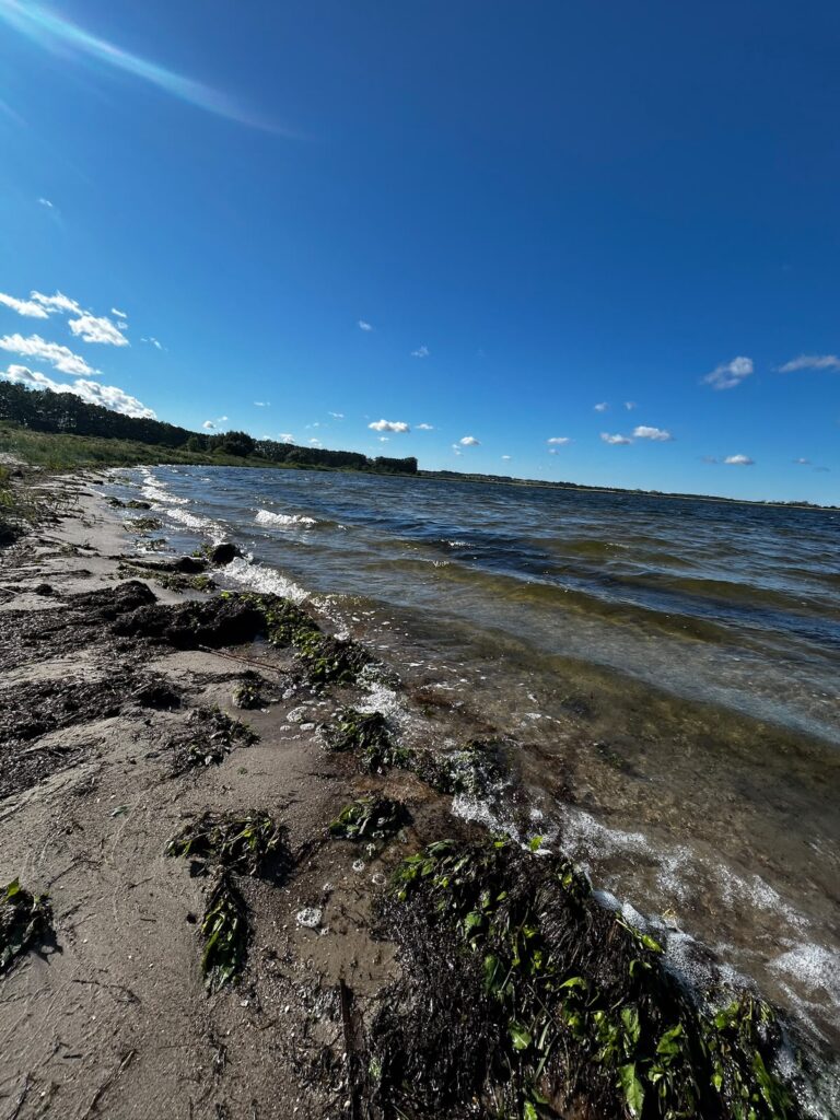 Szukanie bursztynów na plaży